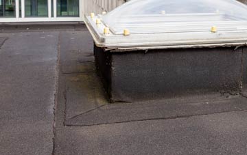 disadvantages of Tyddyn Dai flat roofs